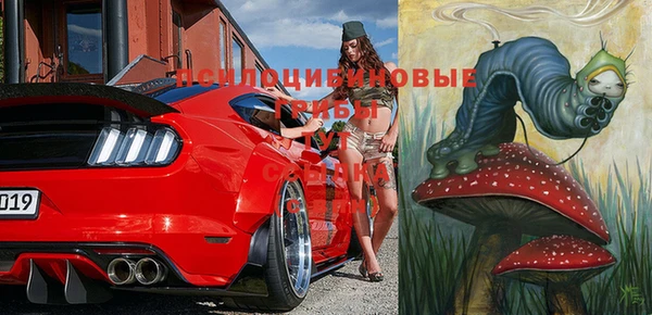 эйфоретик Лабытнанги