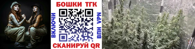 Купить где  Тула  Бошки Шишки план 